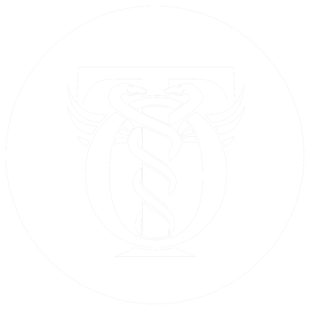 Terapia Ocupacional